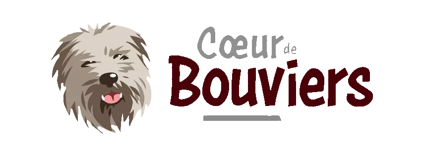 Logo de Coeur de Bouviers